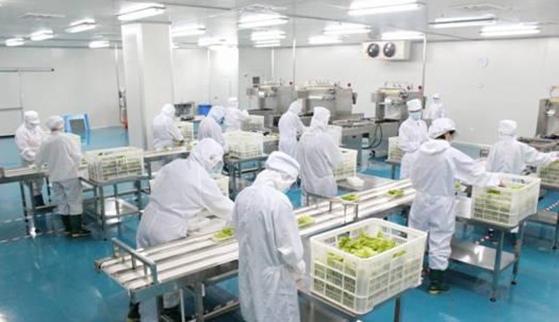 中央厨房:餐饮行业的数字化革命